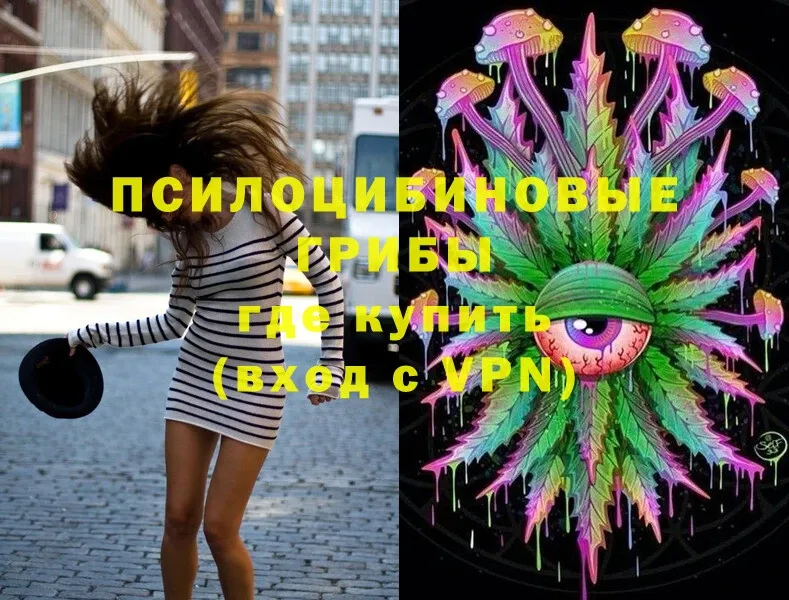 Галлюциногенные грибы Magic Shrooms  Амурск 